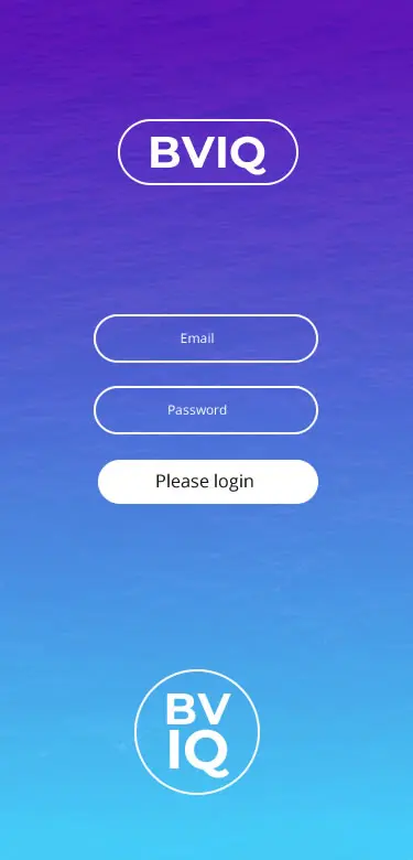 BVIQ 1
