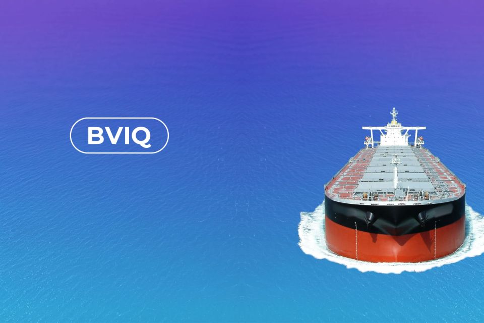 Bulk Vessel2g